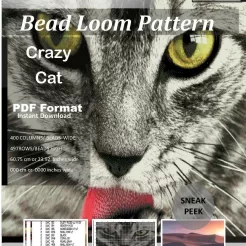 Patterns front page