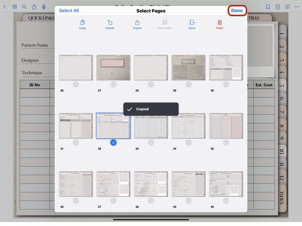 How to duplicate pages in your digital planner.006