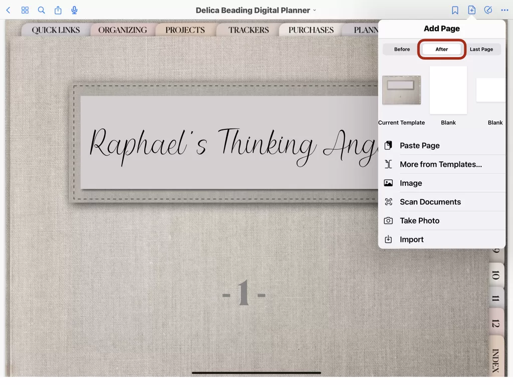 How to duplicate pages in your digital planner.008