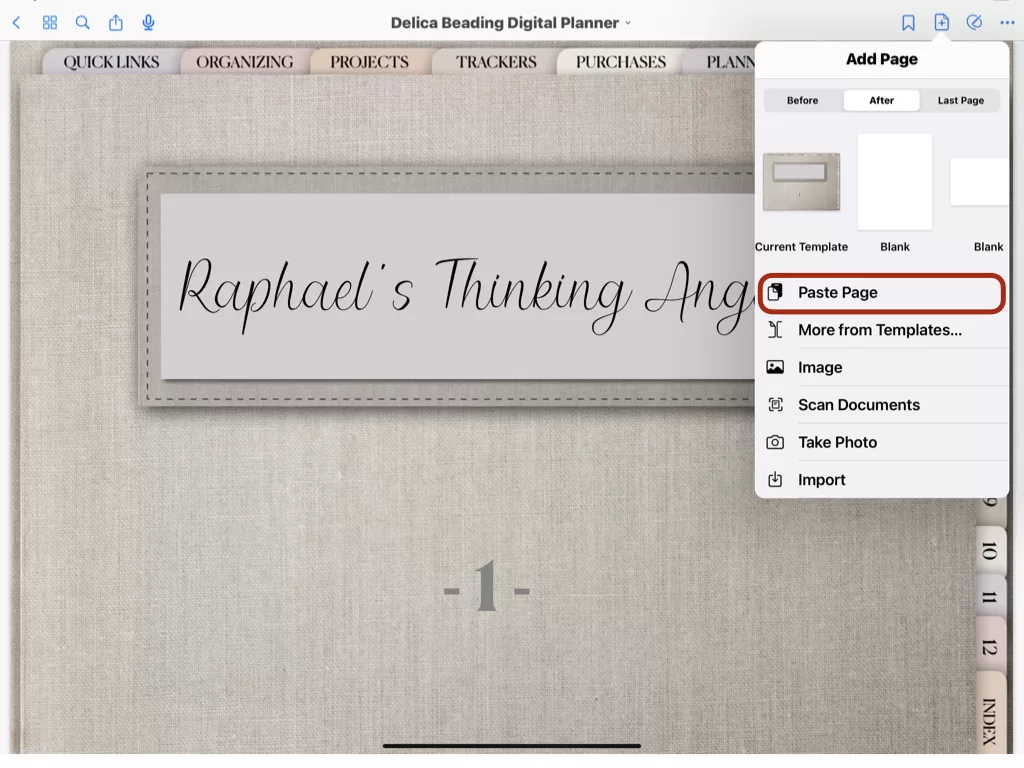 How to duplicate pages in your digital planner.009