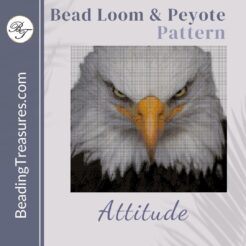Attitude-Pattern-Product-cover