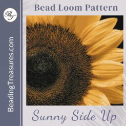 Sunny side up product cover for pattern