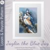 Jaylin the Blue Jay-Cover for Pattern