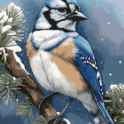 Jaylin the Blue Jay-loom image overview