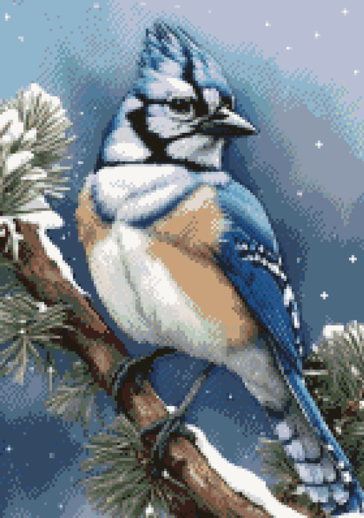 Jaylin the Blue Jay-loom image overview