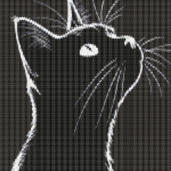 Alternative view of Midnight Whiskers - Personalization