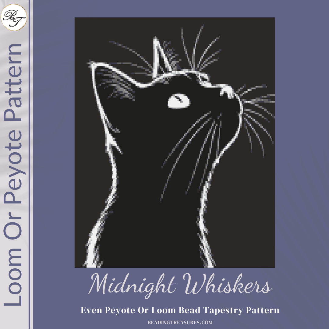 Midnight Whiskers - Personalization